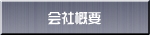 ЊTv